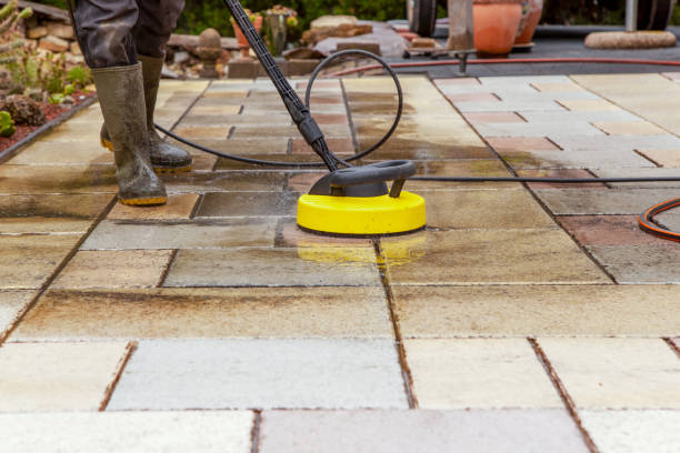 Best Fence Cleaning and Maintenance in Woodville, OH
