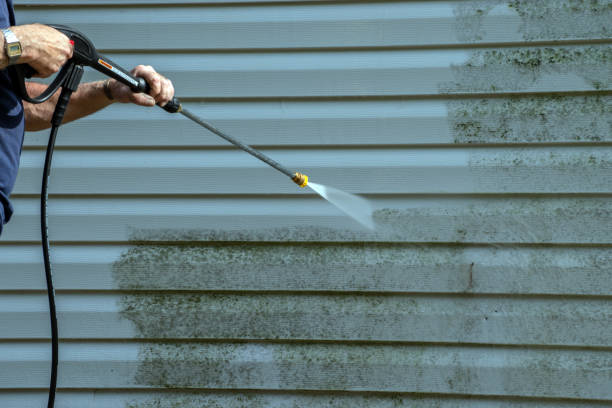 Best Soft Washing for Delicate Surfaces in Woodville, OH
