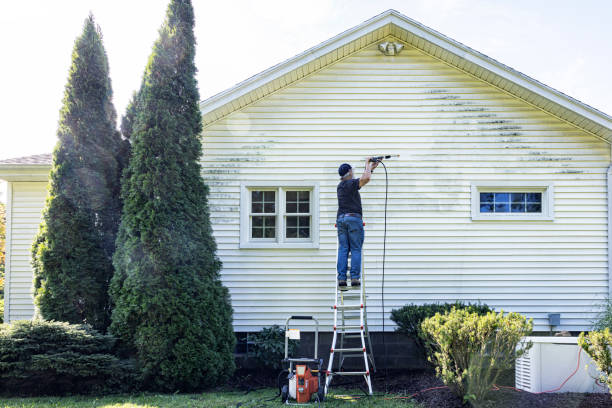 Best Sidewalk and Walkway Pressure Cleaning in Woodville, OH